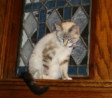 Gabby