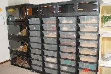 AP racks