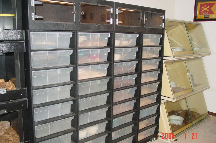 AP racks