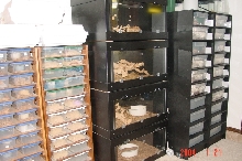 AP racks