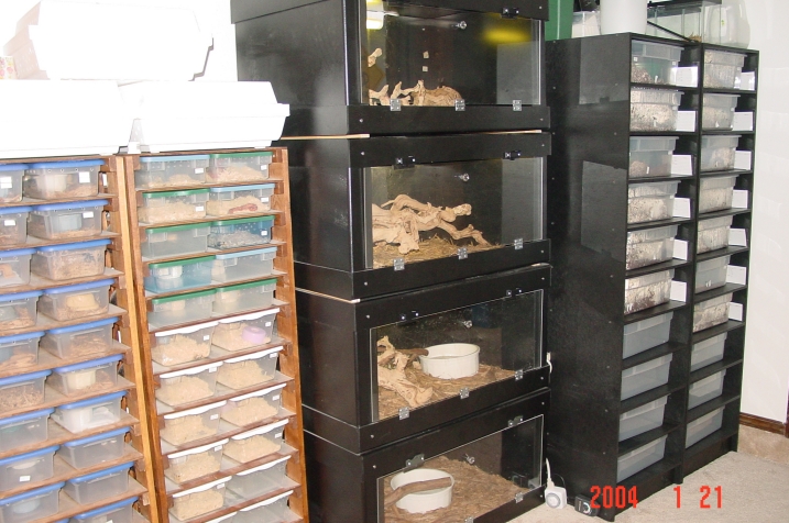 AP racks