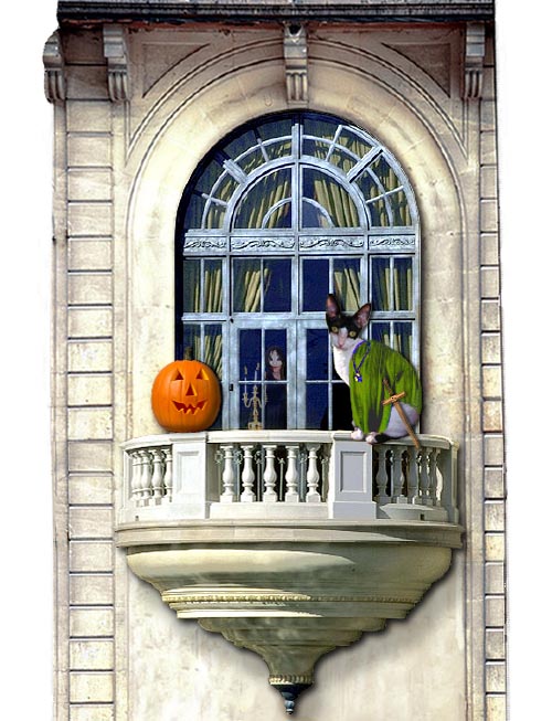 The phantom of the cattery sees the ghost of Halloween past