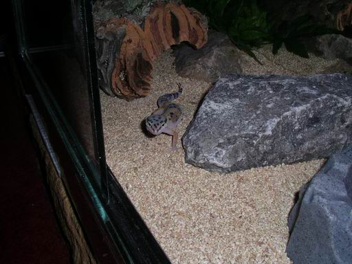 My pal Zac