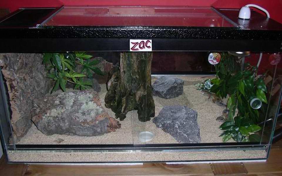 my Leo's Viv layout