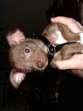 Charlie