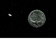 Riley's tooth