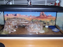 Yoshi's Cage