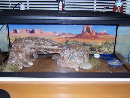Yoshi's Cage