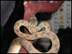 Amazon Tree Boa Female