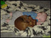Sundance and Conor