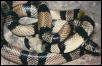 anerythristic L.t. micropholis