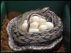 Blue Beauty Snake Laying Eggs, Pic #1