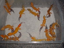 Group Shot
