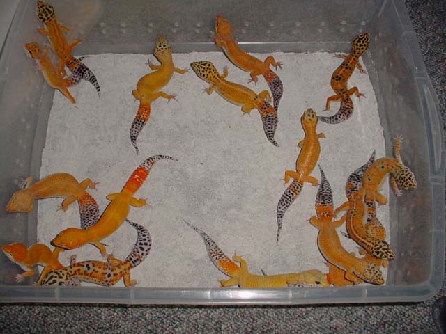 Group Shot