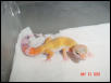 hypo2