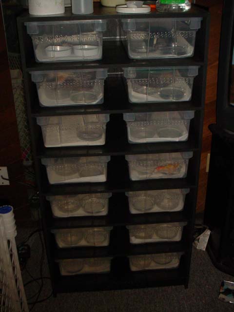 New Rack Set Up Finally