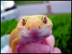 Smiling
