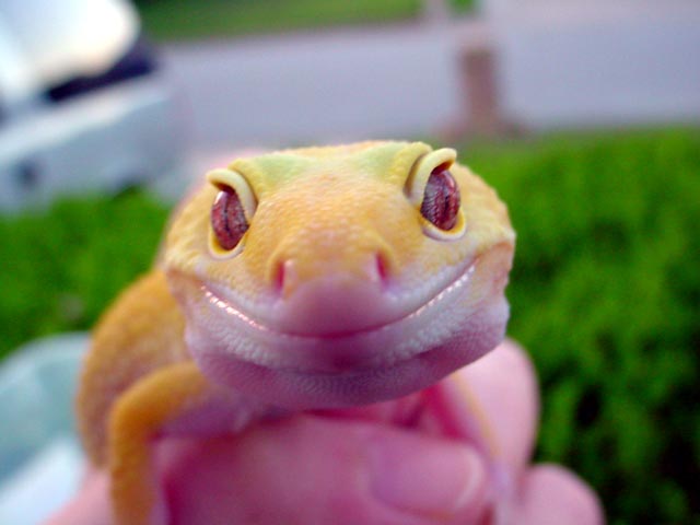 Smiling