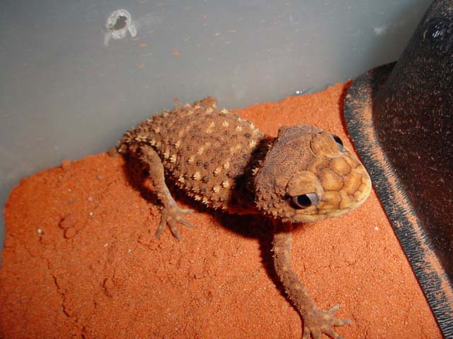 "Psycho" getting ready to go mental on me