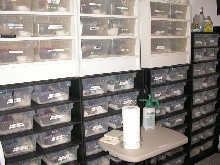 A Few Gecko Racks