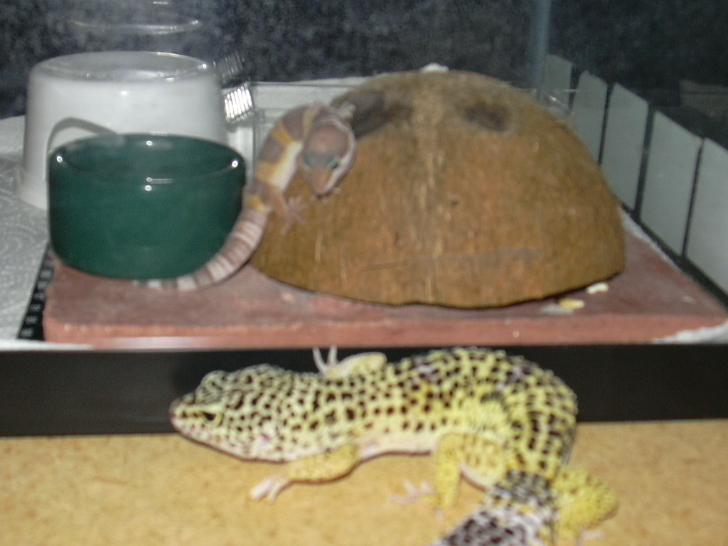 whoa she's gonna eat me!