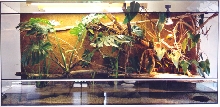 Caiman enclosure