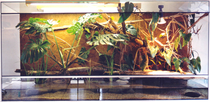 Caiman enclosure