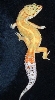 sway