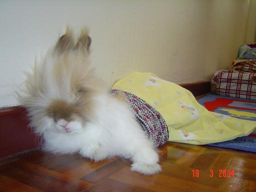 The 'Mongolian' prince look..