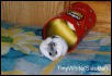 TinyWhite
