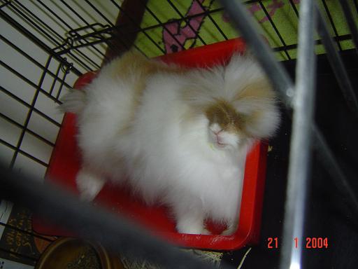 Fluffy
