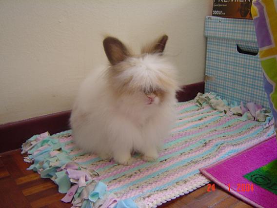Fluffy