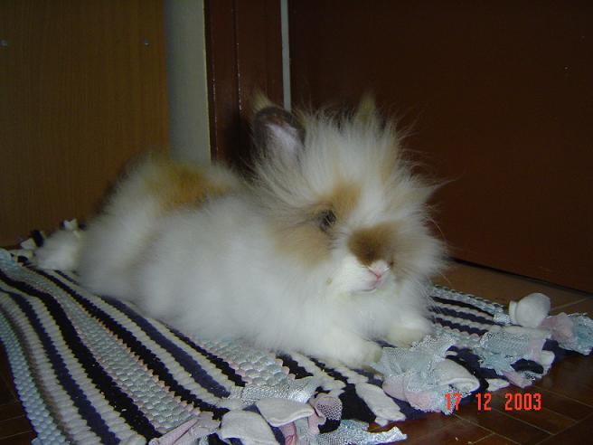 Fluffy