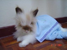 Fluffy woke up!