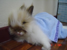 Fluffy's sleeping....