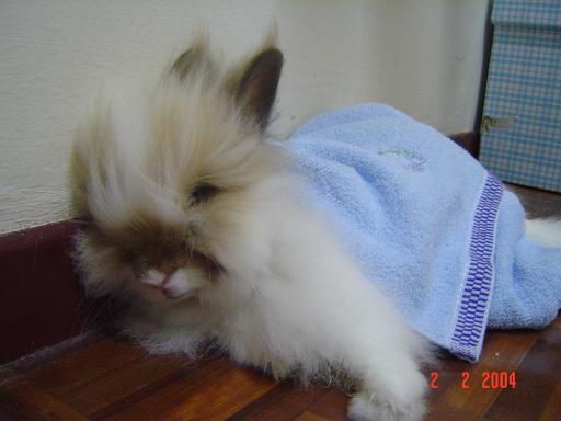 Fluffy's sleeping....
