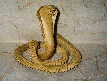 Rare Origami Cobra
