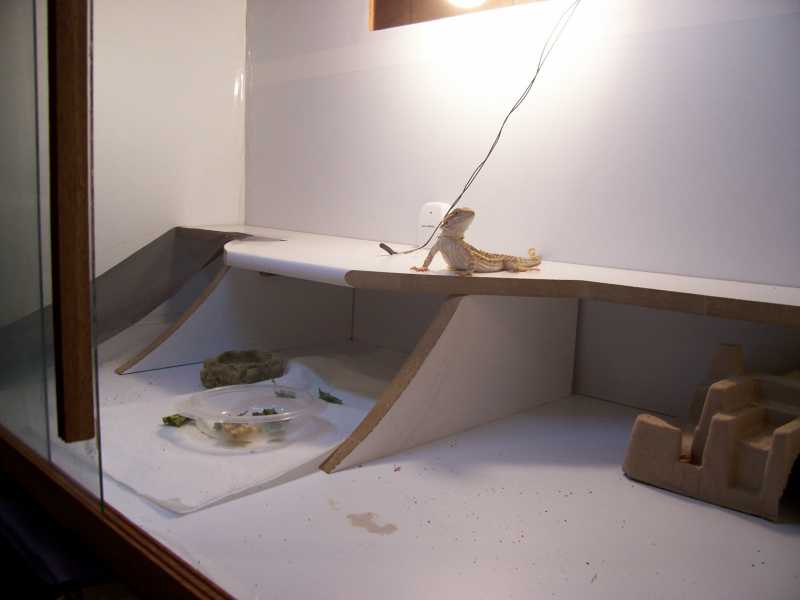 Cage inside