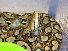 that's a mean look!