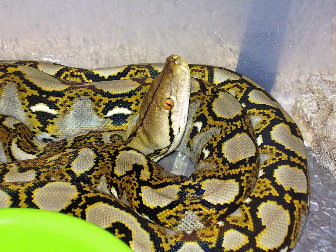 that's a mean look!
