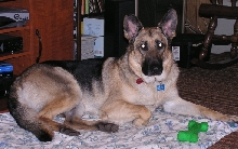 Sophie