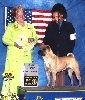 Bred By Exhibitor Group 3