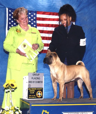 Bred By Exhibitor Group 3