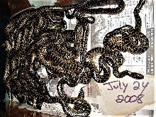 anaconda litter