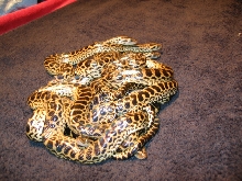 first sheds 1