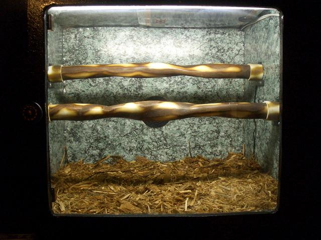 final cage