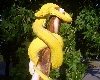 yellow