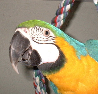 Sophie!!