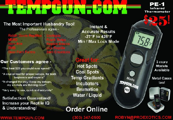 Temp gun ad