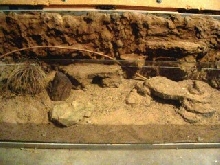 Desert tank